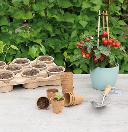 Round Organic Pots - 6 cm - 14 pcs-3