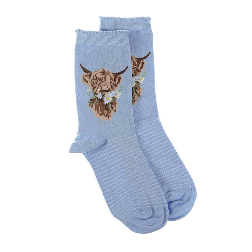 Women's Socks - Highland Cow - Daisy Coo