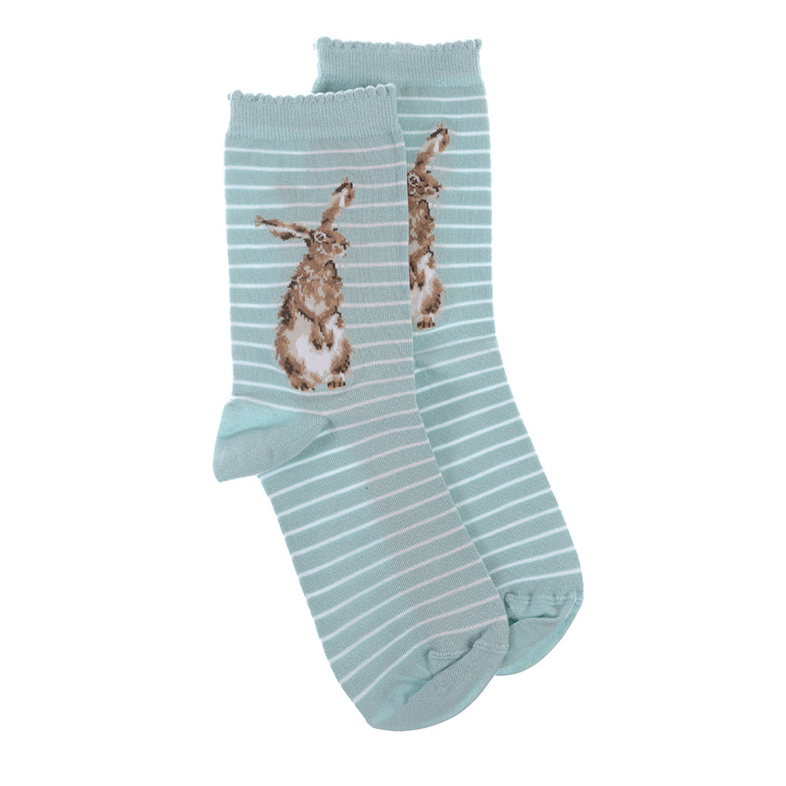 Women's Socks - Hare - Hare and the Bee