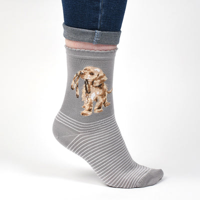 Women's Socks - Labrador - Hopeful