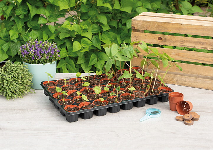 Seed Tray - 40 Pots-2