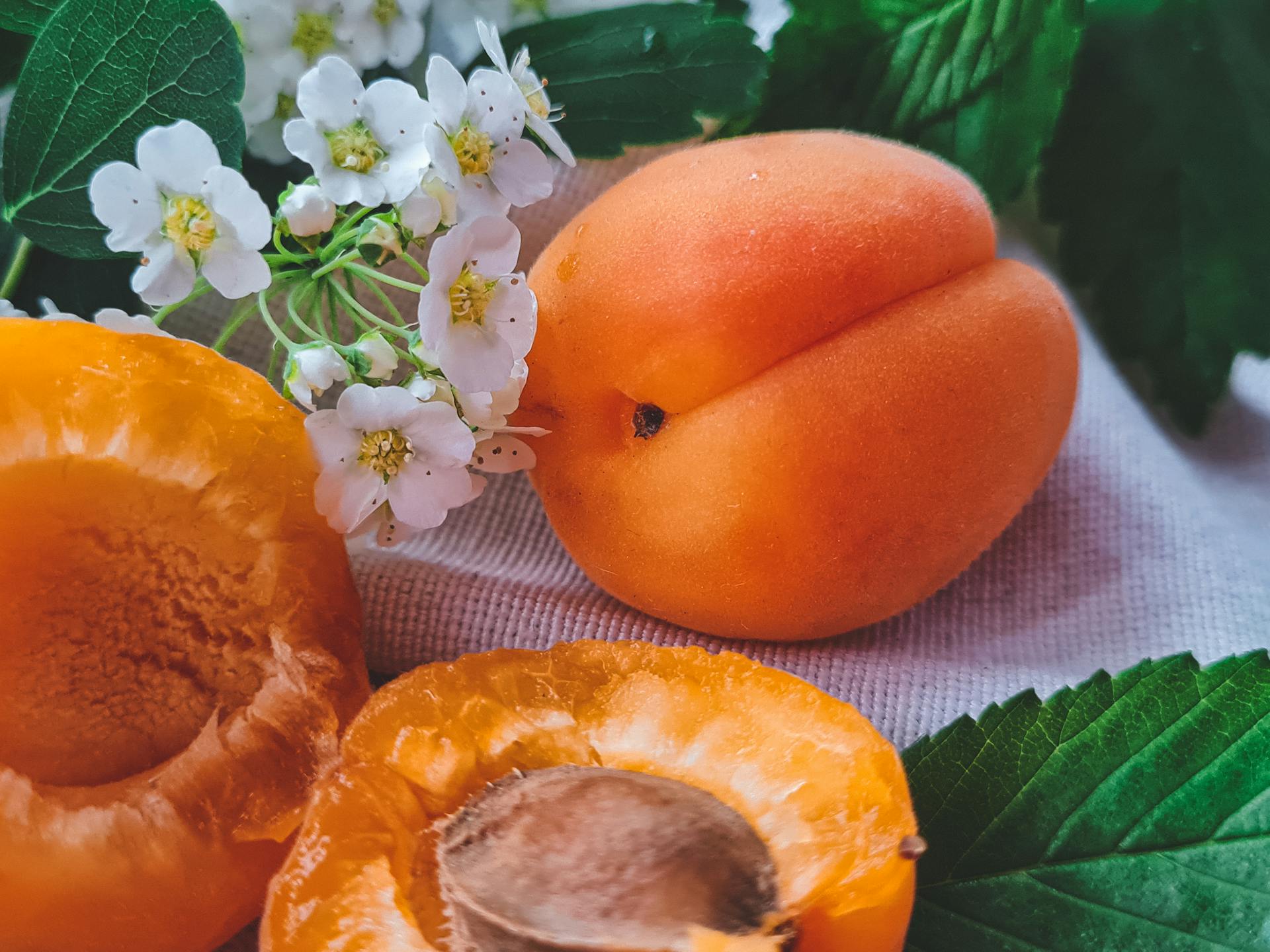Three apricots with a few flowers and leaves on a light background