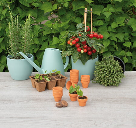 Terracotta Pots - 4/5 cm - 12 pcs-3