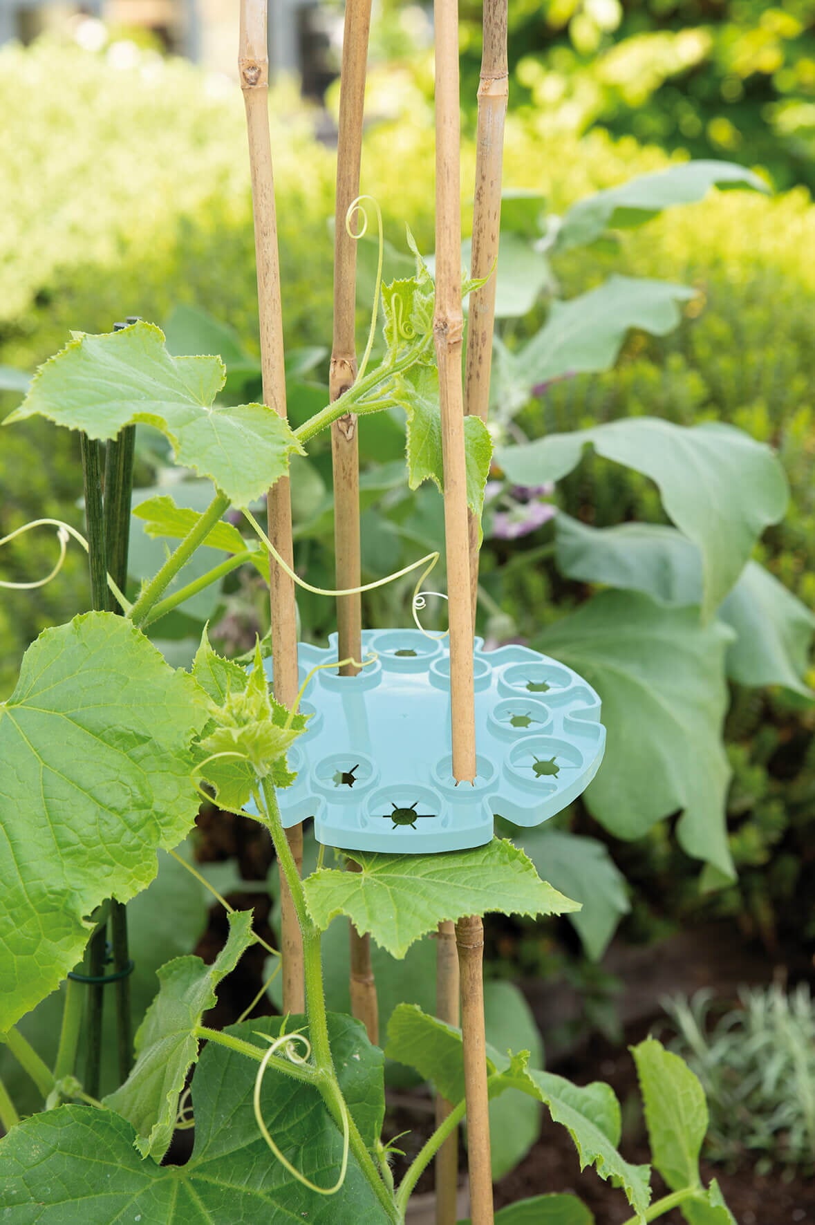 Tonkin Cane Holder - 3 pcs-2