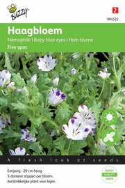 Ötpettyesvirág - Five Spot - 1g