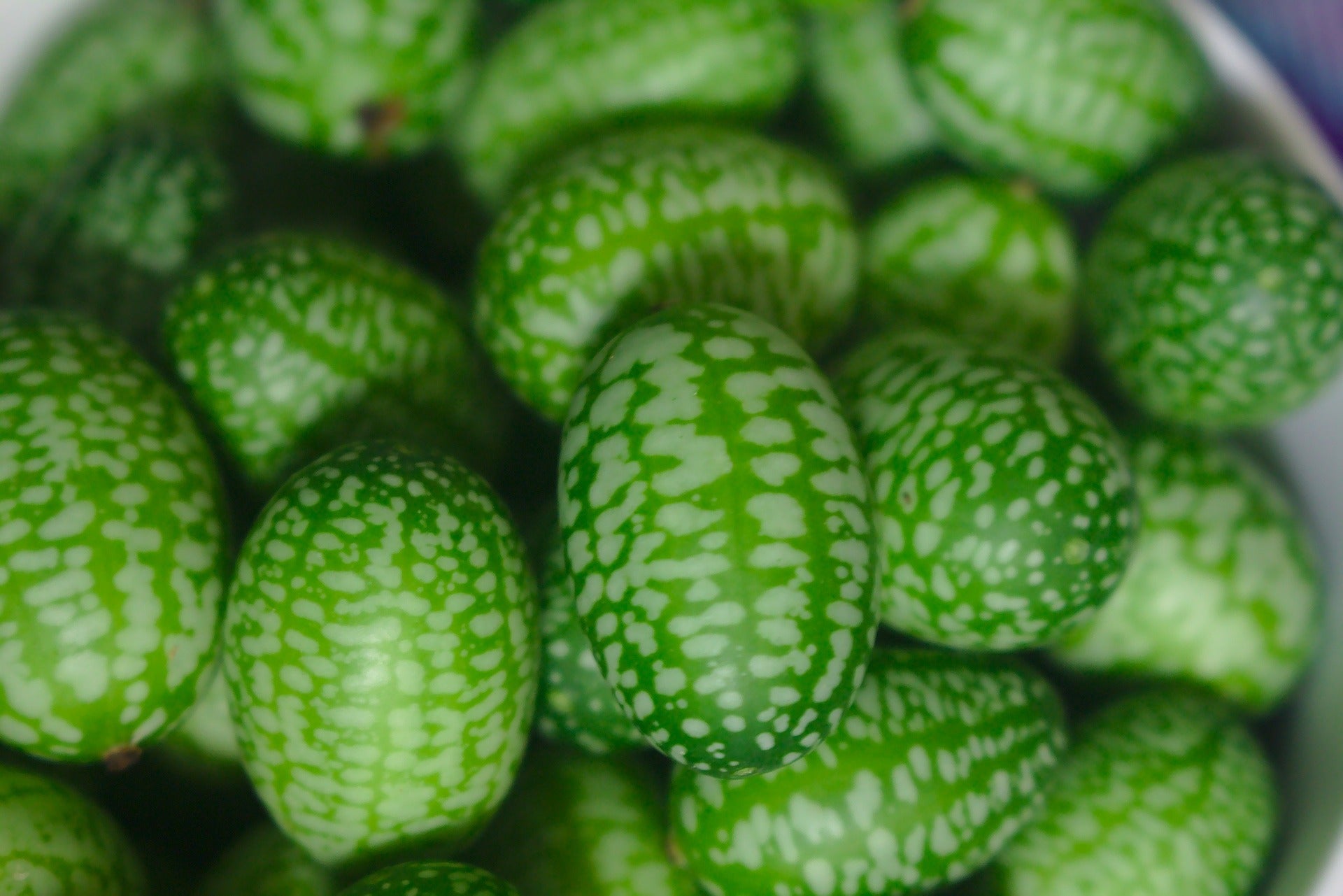 Mexikói Egérdinnye - Cucamelon - 15 Szem