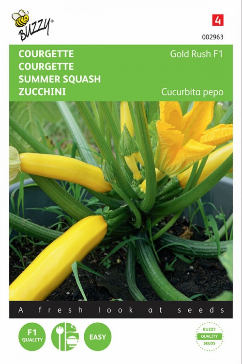 Zucchini - Gold Rush F1 - 2g