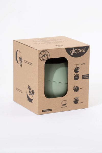Globee - Olajbogyó