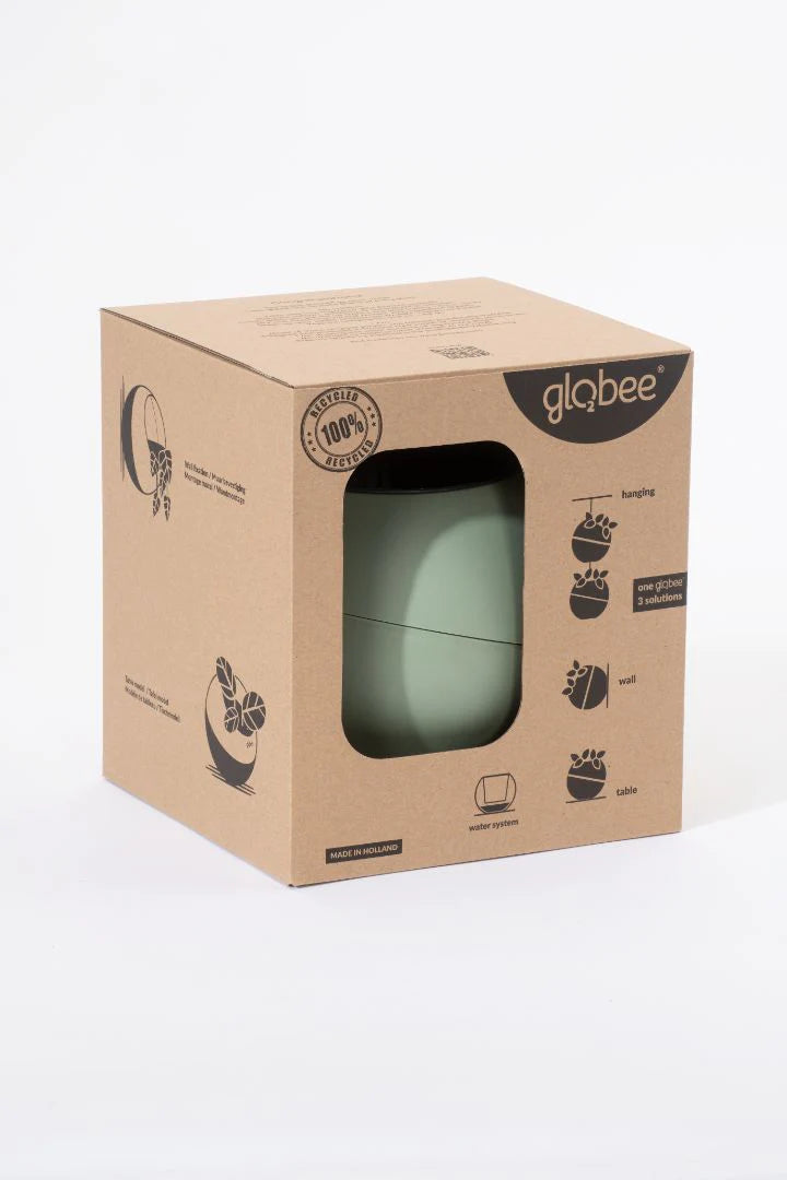 Globee - Olajbogyó