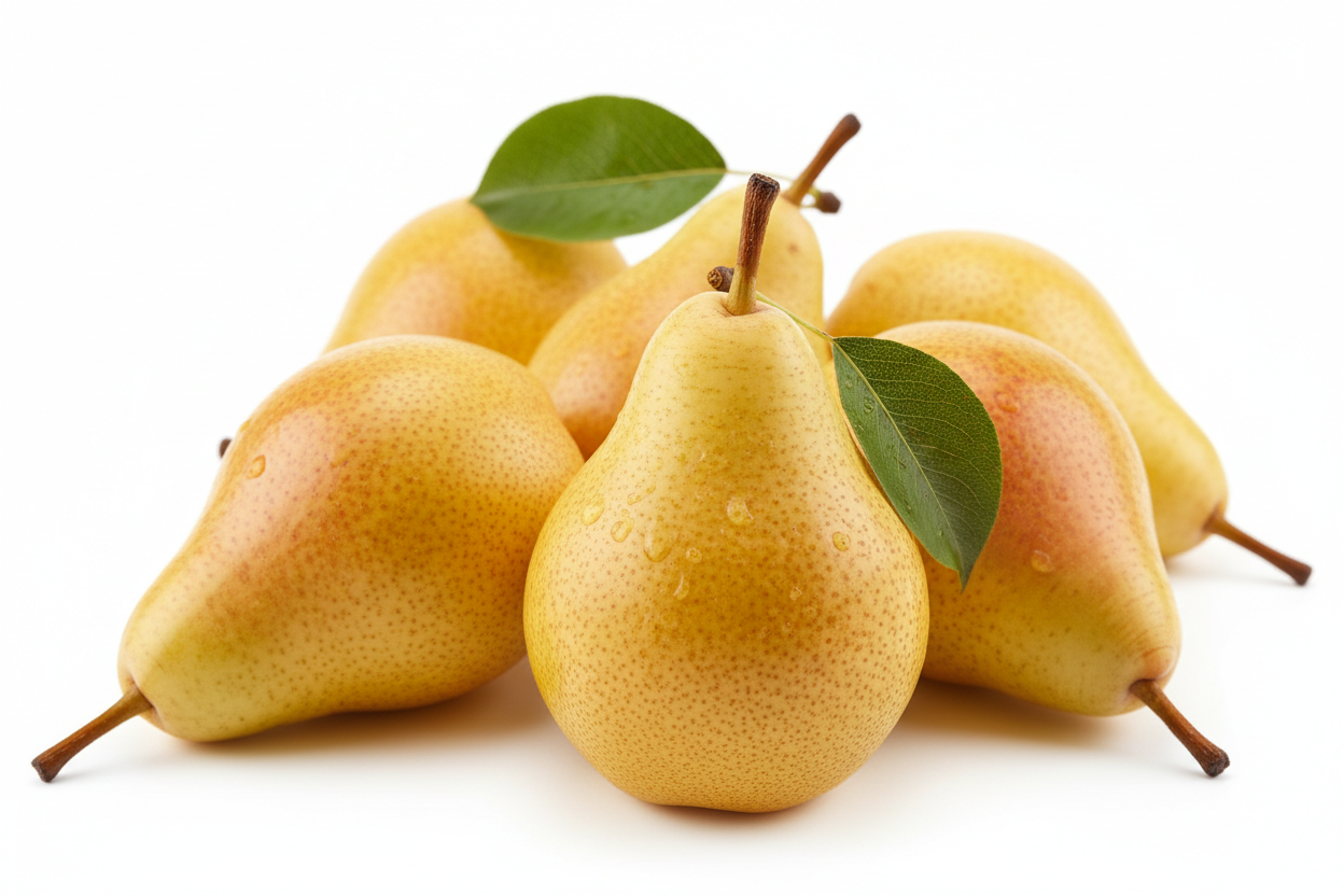 Féltörpe Körtefa - ‘Saint Rémy’