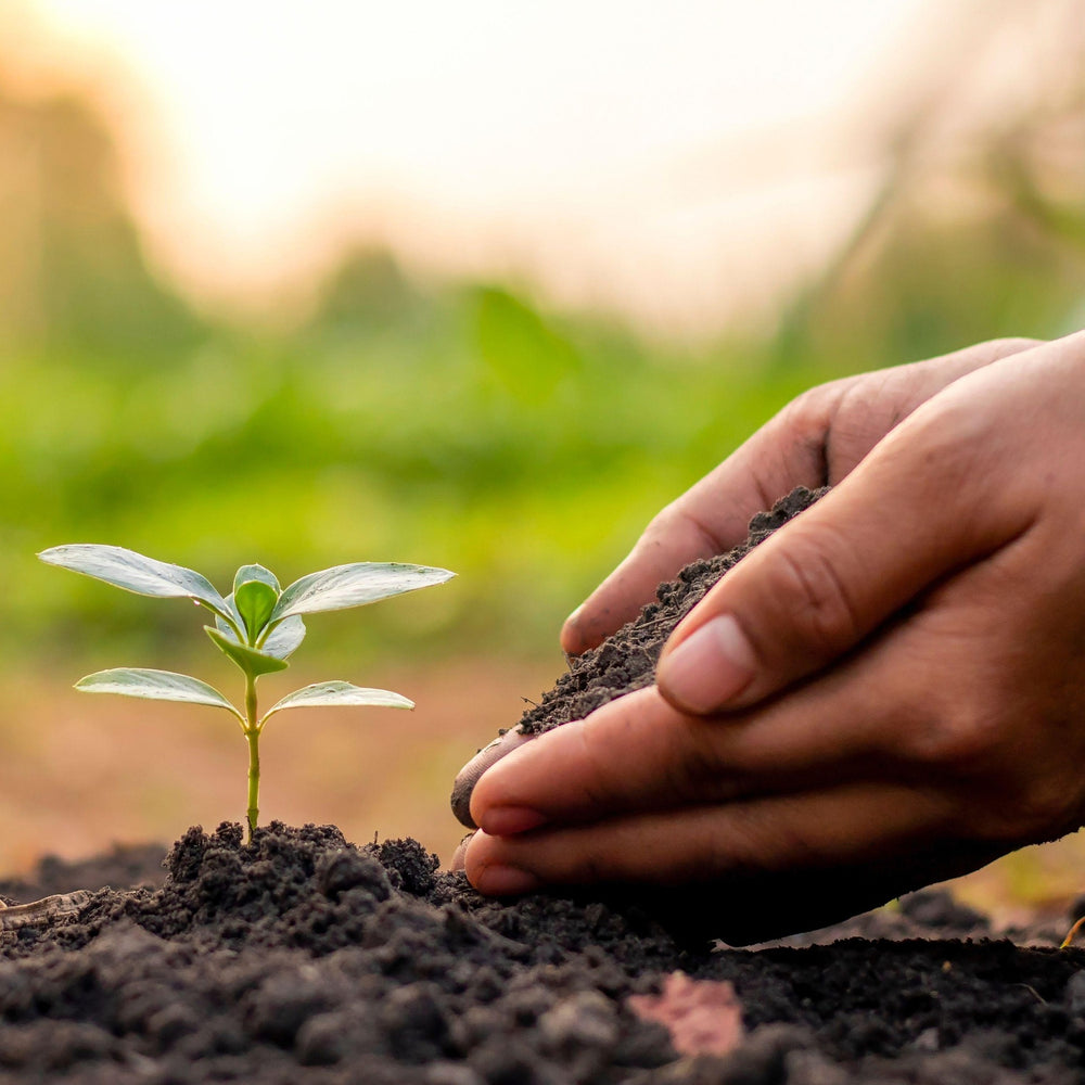 <strong>Talaj, Tápanyagok & Növényápolás</strong>