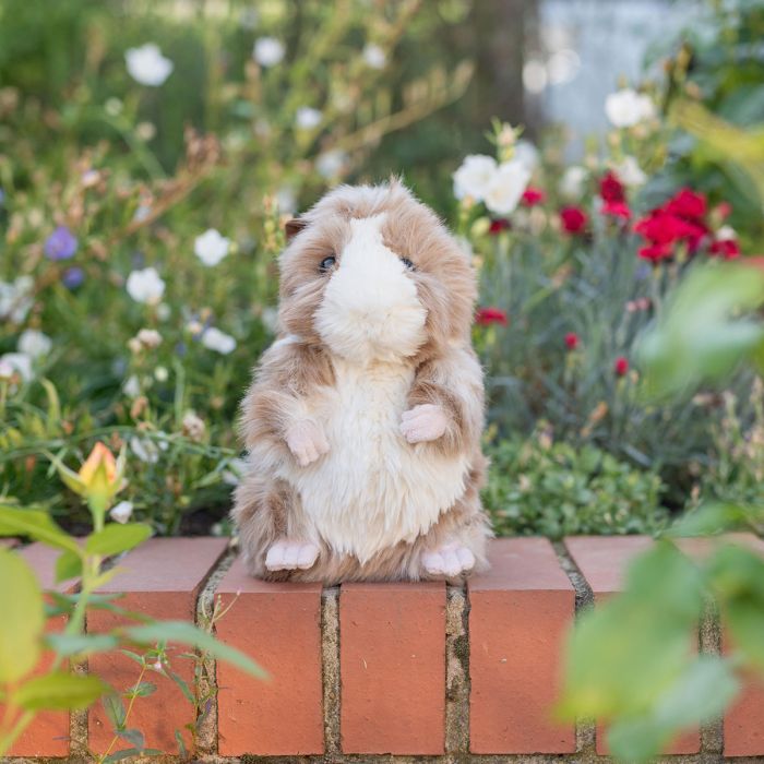 Daphne - Guinea Pig Plush