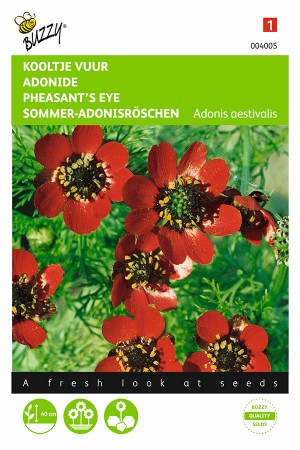 Nyári Hérics - Red Flowering - 2 g