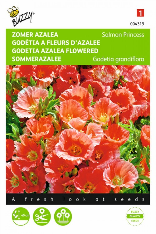 Godetia Azalea Flowered - Salmon Princess - 0,75 g