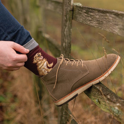 Men's Socks - Labrador - Good as Gold