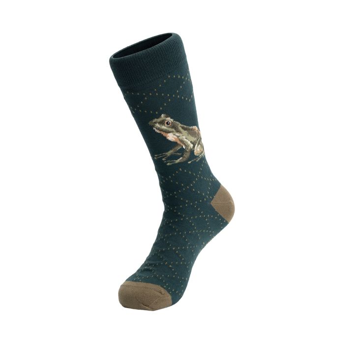 Férfi zokni – Béka – The Happy Frog