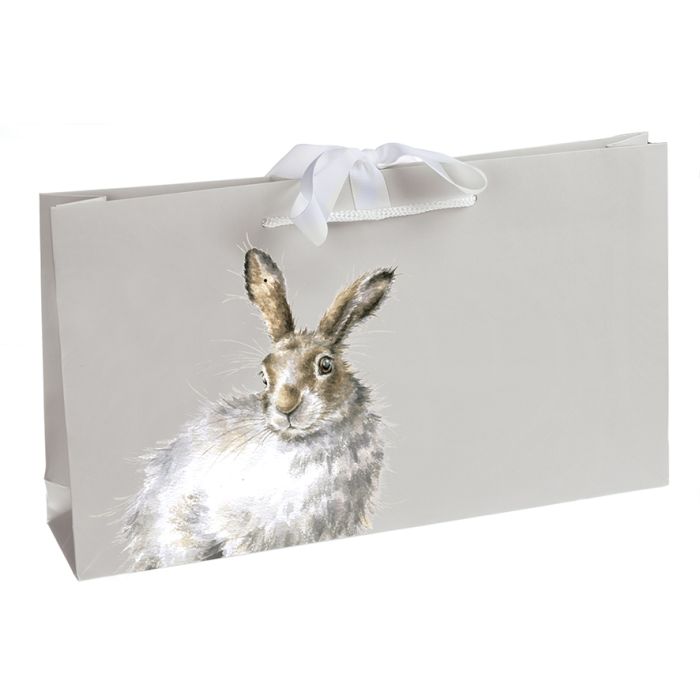 Téli sál - Vörösbegy - Jolly Robin