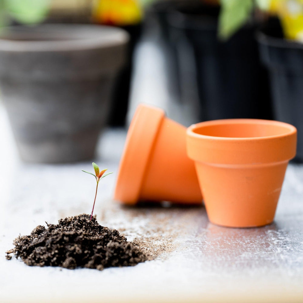 <strong>Cserepek, Ültetőedények & Termesztési Rendszerek</strong>