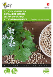 Citrom Koriander - 2 g