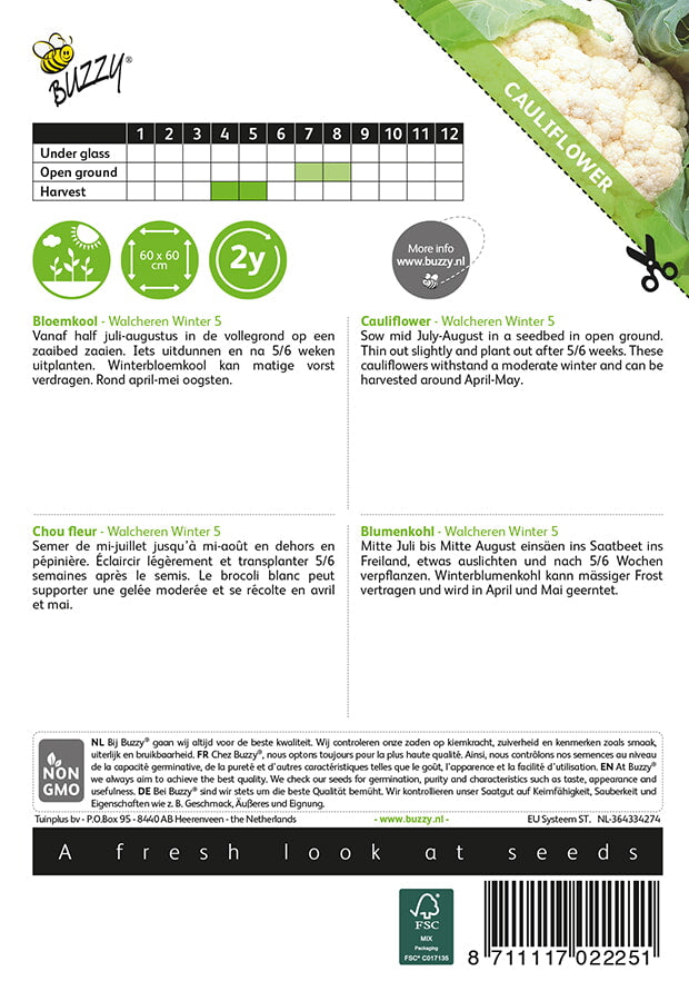 Karfiol – Walcheren Winter 5 - 0,5 g