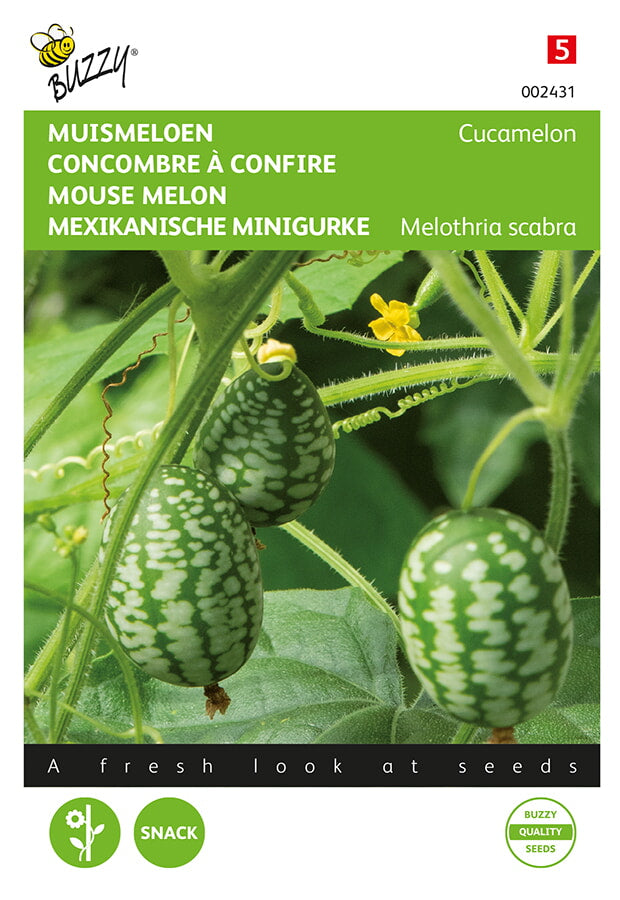 Mexikói Egérdinnye - Cucamelon - 15 Szem