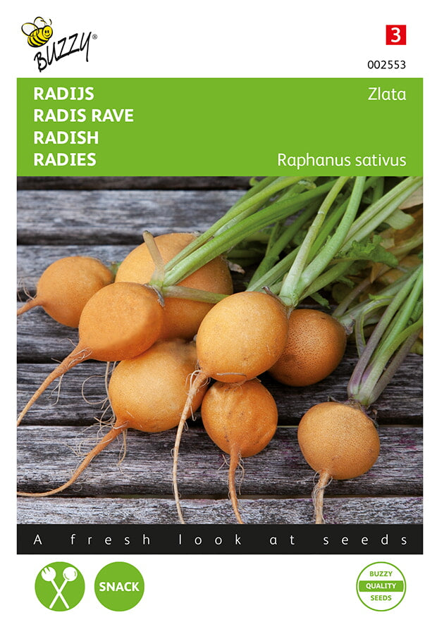 Radish - Zlata - 2,5g