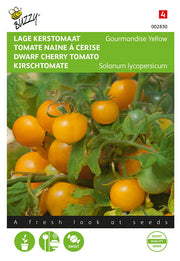 Dwarf Cherry Tomato - Yellow Gourmandise - 10 Seeds