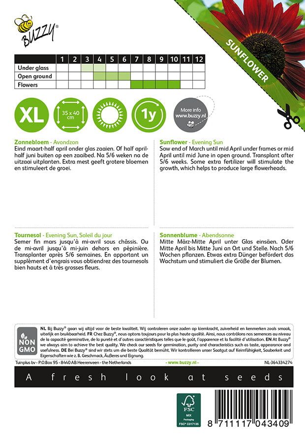 Sunflower - Evening Sun - 2g