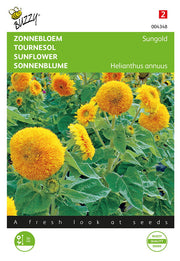 Dísznapraforgó - Törpe - Sungold - 2g