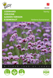 Kerti Verbéna - Vanity - 25 Szem