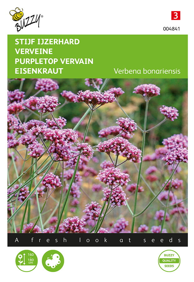 Ernyős Verbéna - 0,4g