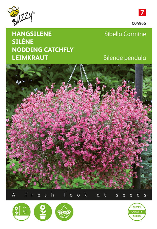 Nodding Catchfly - 25 Seeds