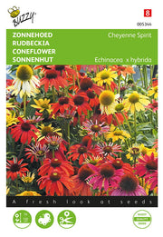 Coneflower - Cheyenne Spirit - 10 Seeds