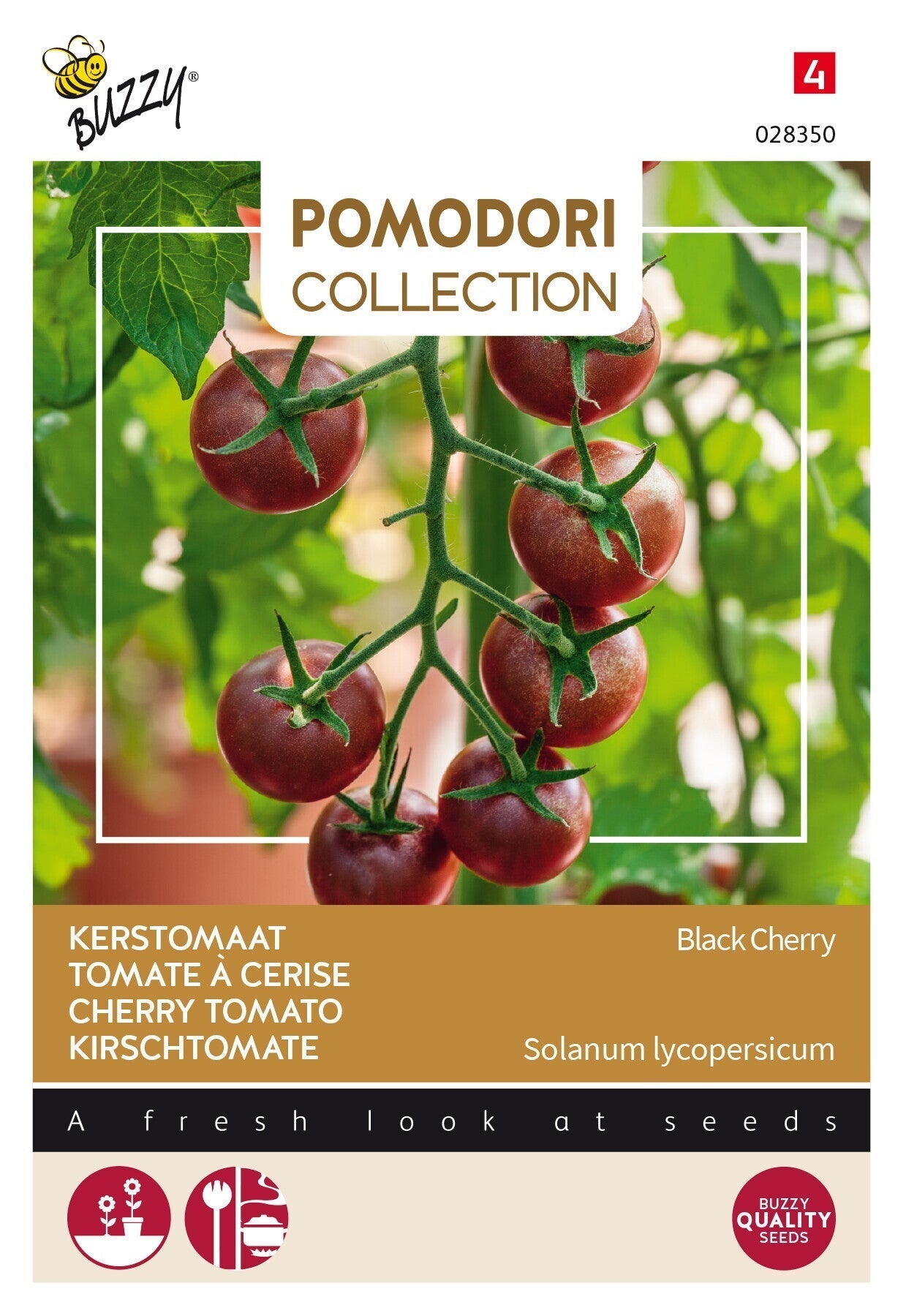  Cseresznye Paradicsom - Black Cherry - 10 Szem
