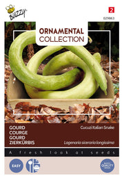 Tök - Cucuzi Italian Snake - 2,5g