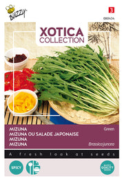 Mizuna - Szareptai Mustár - 10g