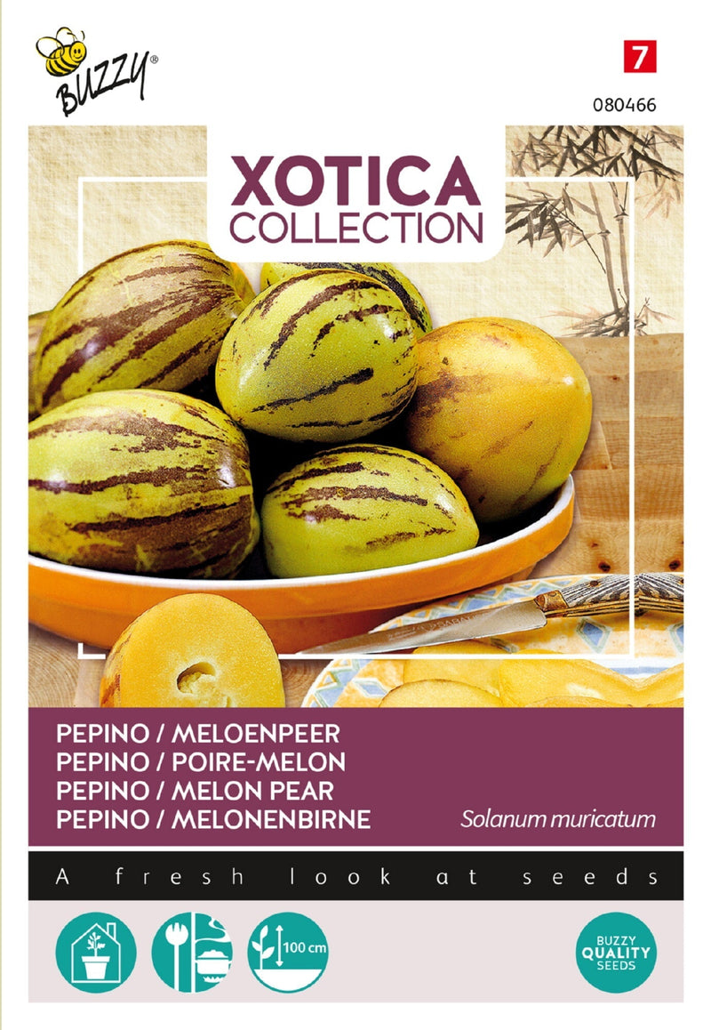 Tojásdinnye - Pepino - 15 Szem