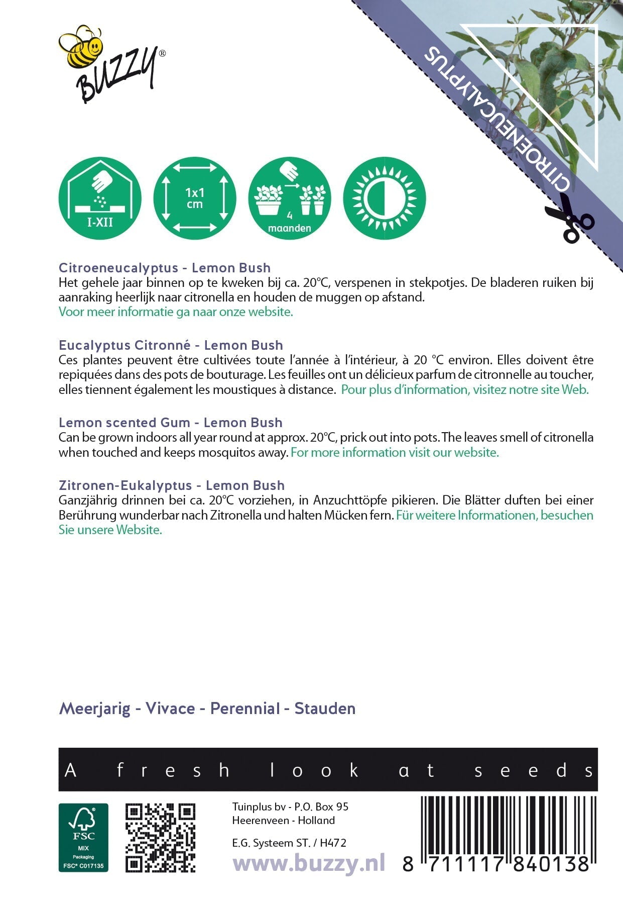 Citromillatú Eukaliptusz - 10 Szem