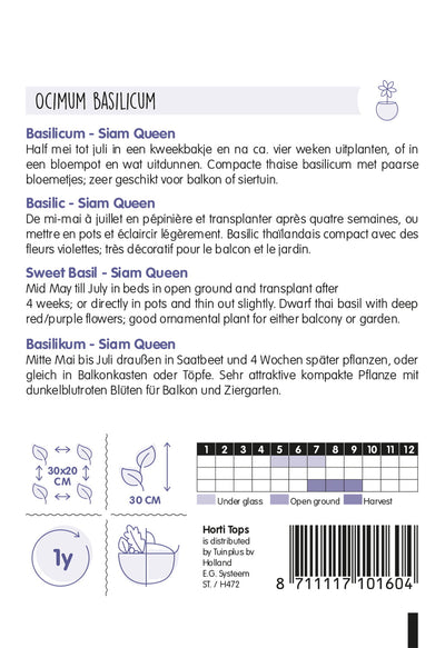 Édes Bazsalikom - Siam Queen - 0,2g