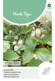 Alpesi Eper - Yellow Cream - 0,25g