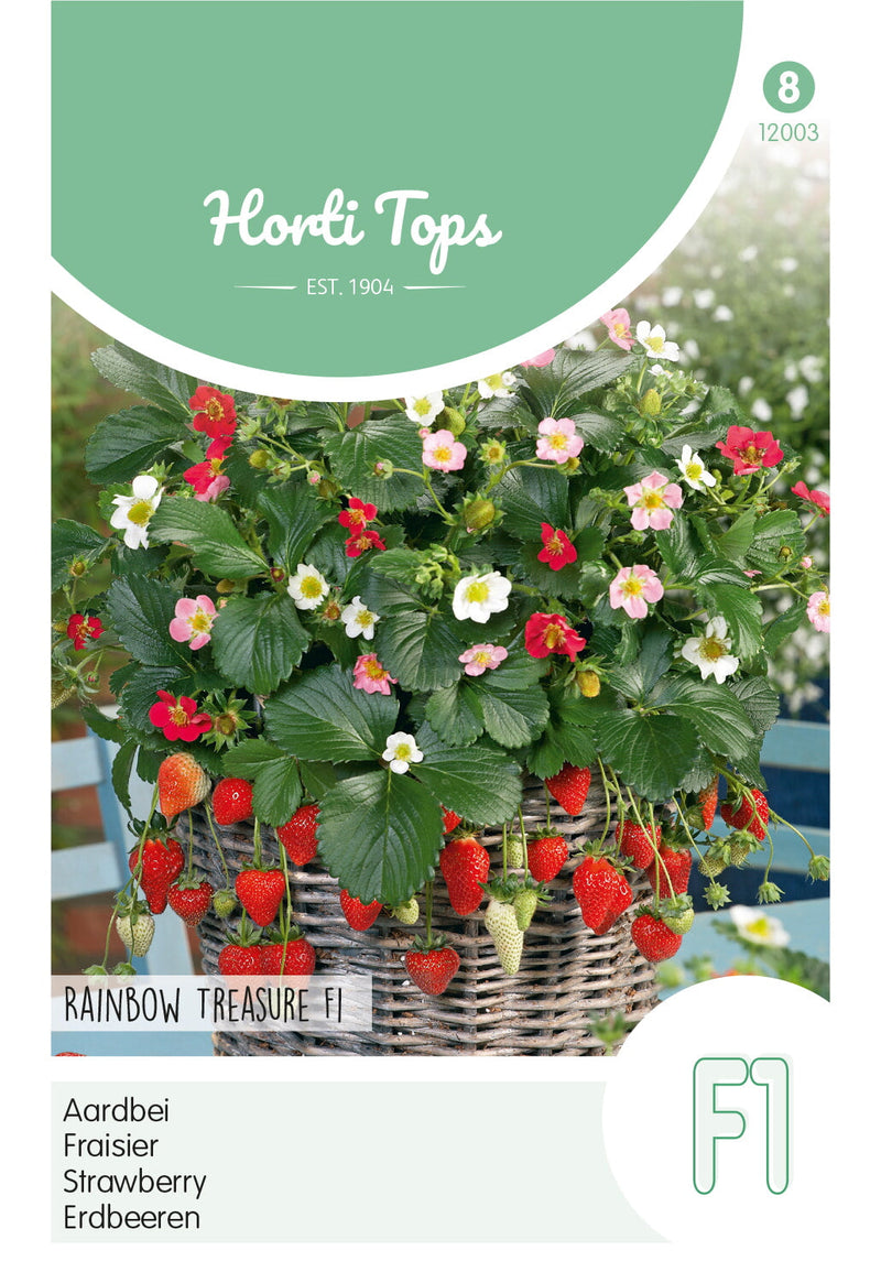 Strawberry - Rainbow Treasure F1 - 15 Seeds