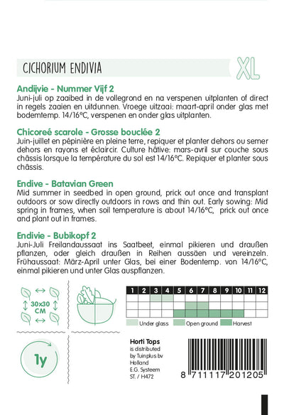 Endive - Number Five 2 - 3g