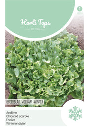 Endive - Breedblad Volhart Winter - 3g