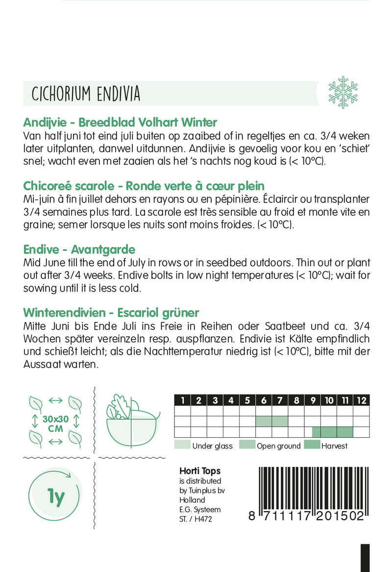 Endive - Breedblad Volhart Winter - 3g