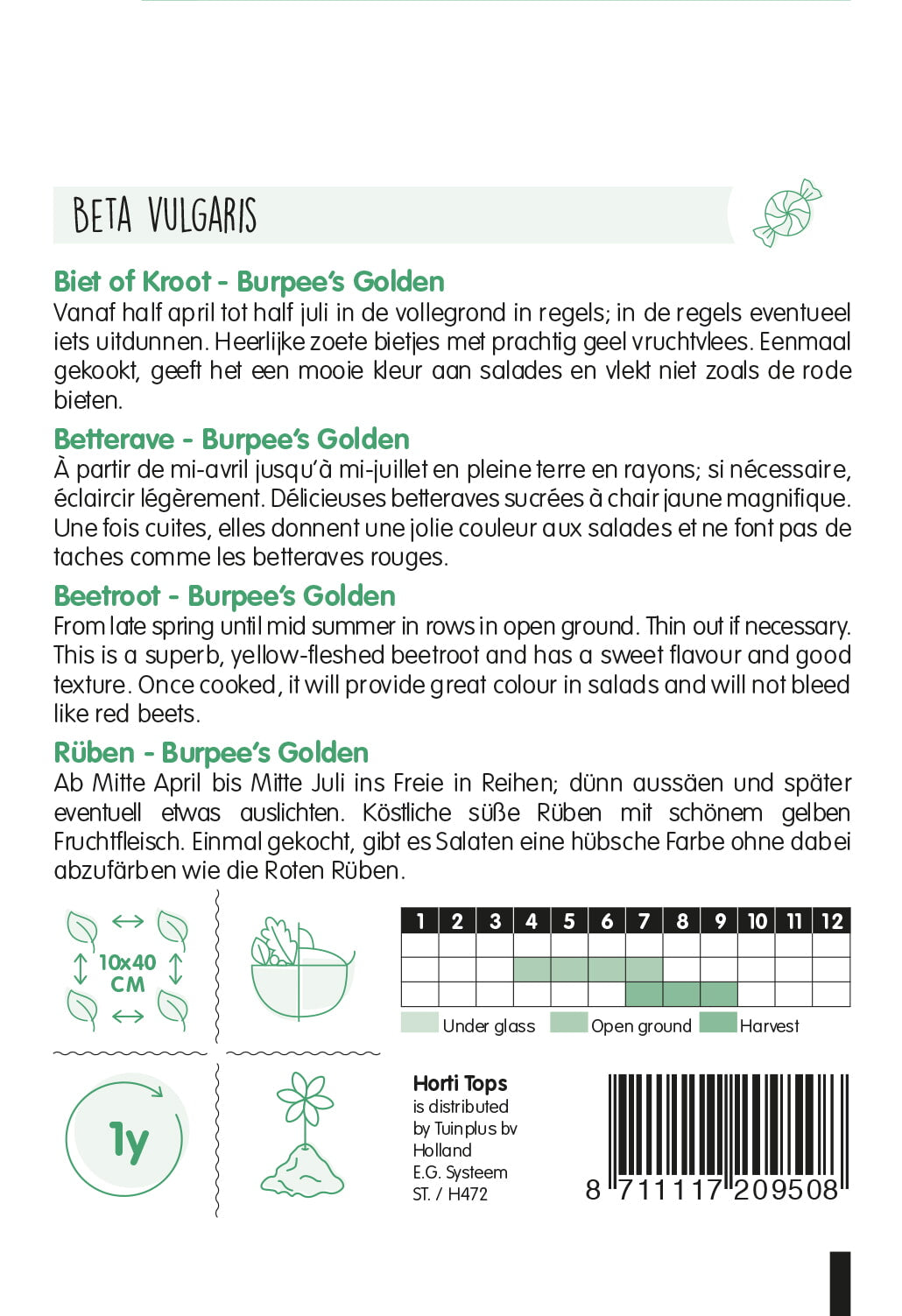 Cékla – Burpee's Golden - 2g