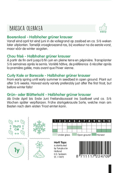 Curly Kale - Grüner Krauser - 3g