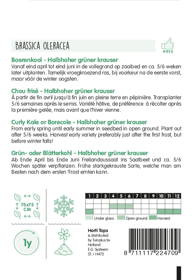 Curly Kale - Grüner Krauser - 3g