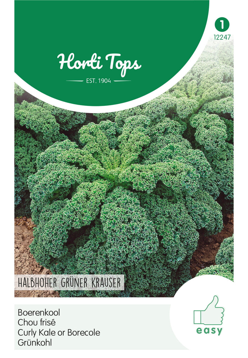 Curly Kale - Grüner Krauser - 3g