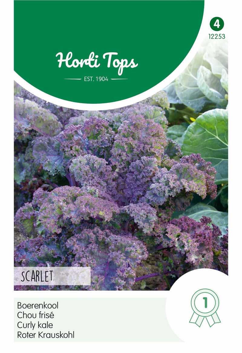 Curly Kale - Scarlet - 2g