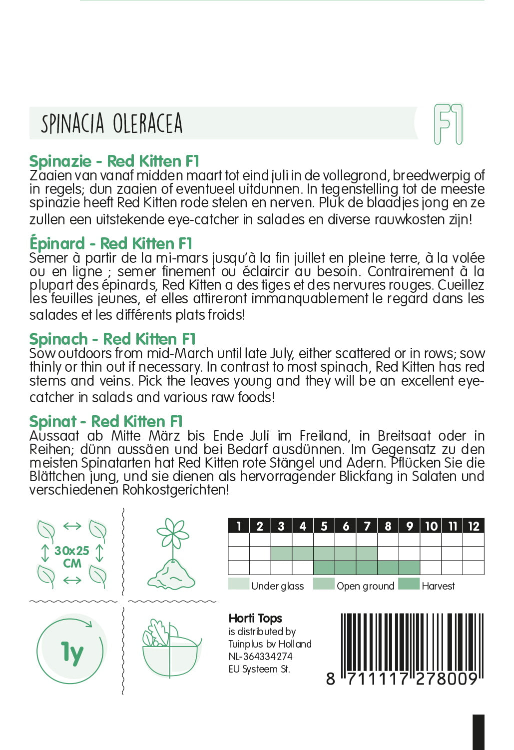 Spenót – Red Kitten F1 - 300 Szem